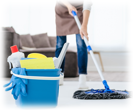 Cinderella's Cleaning - Professional Living Area Cleaning